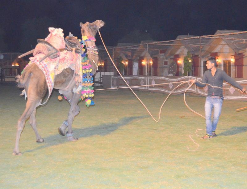 Hotel Vijayvargiya Dhani Bikaner Buitenkant foto